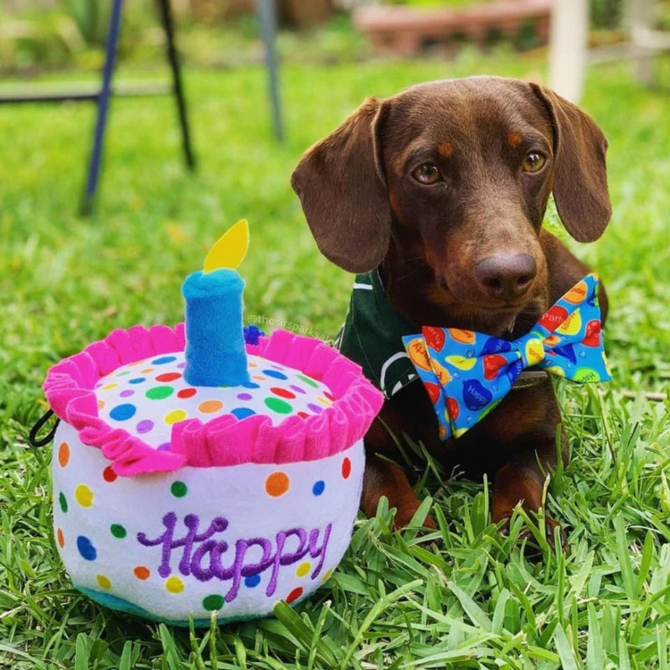 H&K Power Plush Dog Happy Barkday Cake Small Squeak Crinkle