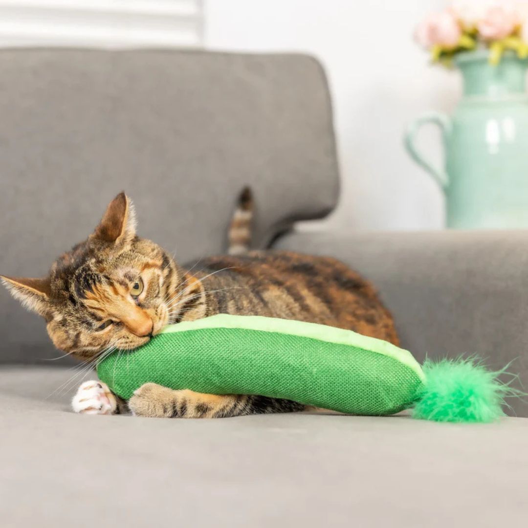 H&K C Kicker Pickle Organic Catnip Plush Crinkle - Pets Perfect