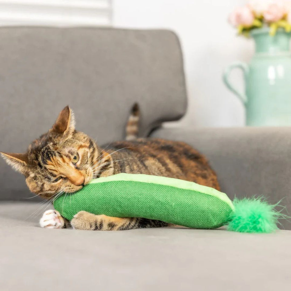 H&K C Kicker Pickle Organic Catnip Plush Crinkle
