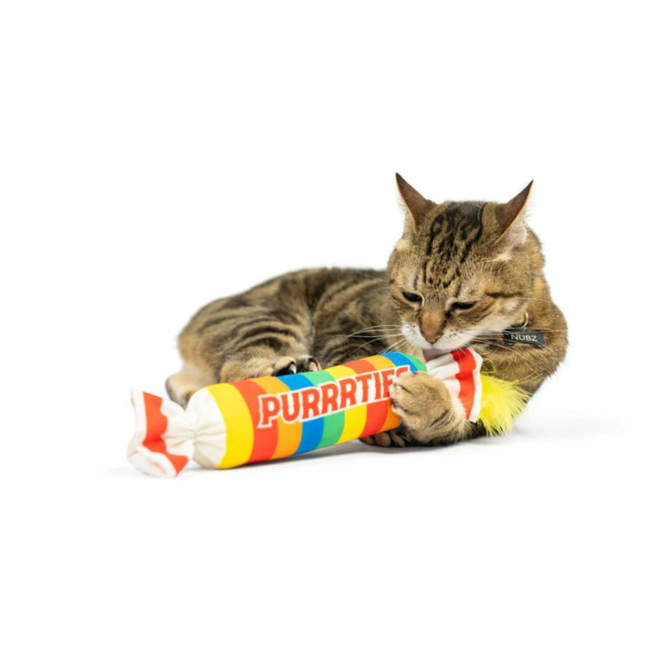 H&K C Kicker Purrrties Organic Catnip Plush Crinkle