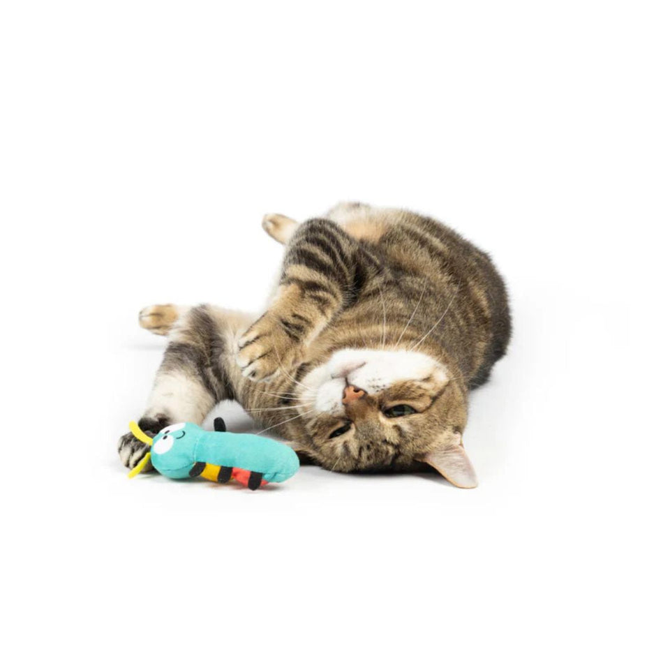 H&K C Caterpillar Organic Catnip Plush Crinkle