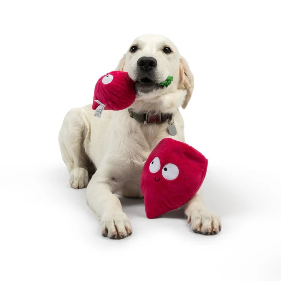 H&K Pop 'N Fetch D Beet Large Plush Squeak Crinkle - Pets Perfect