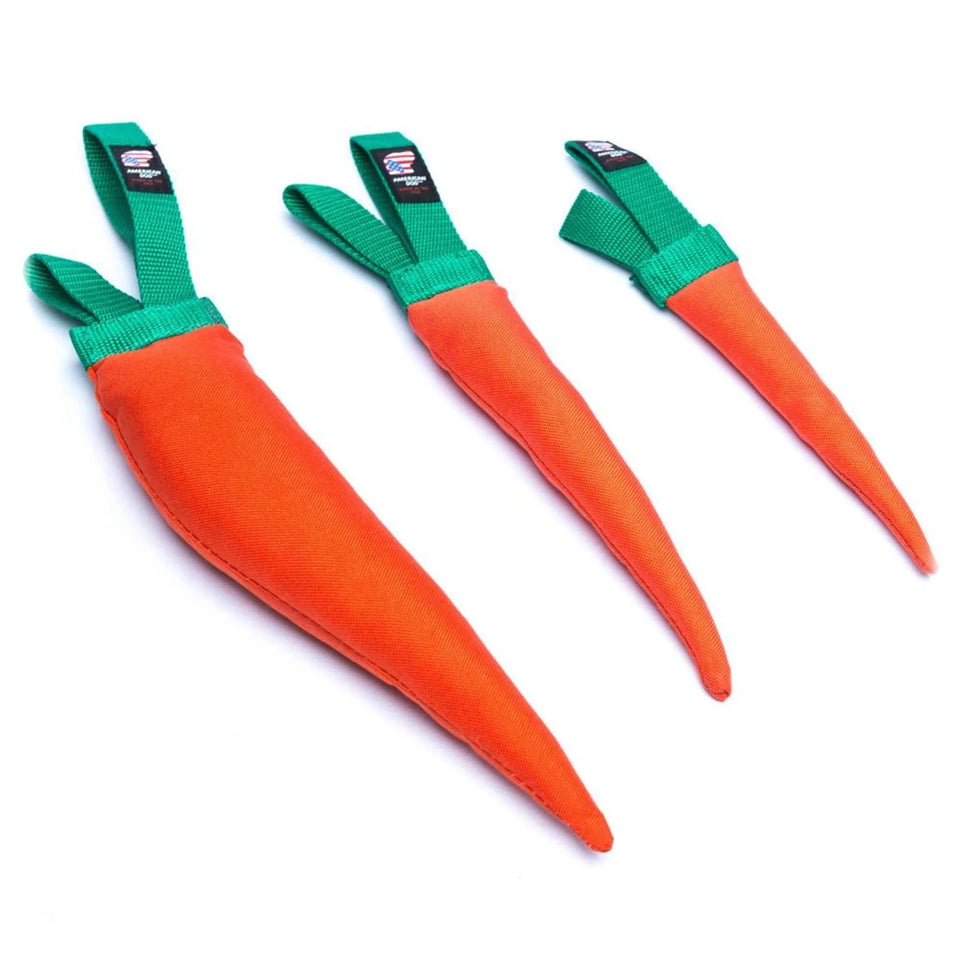 Carrot Dog Toy - 11" Floating Squeaky Plush for All Dogs - Pets Perfect