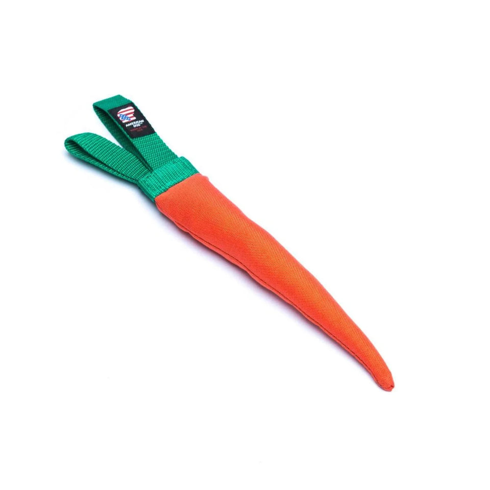 Carrot Dog Toy - Medium Squeaky Floating Toy for Fetch & Play - Pets Perfect
