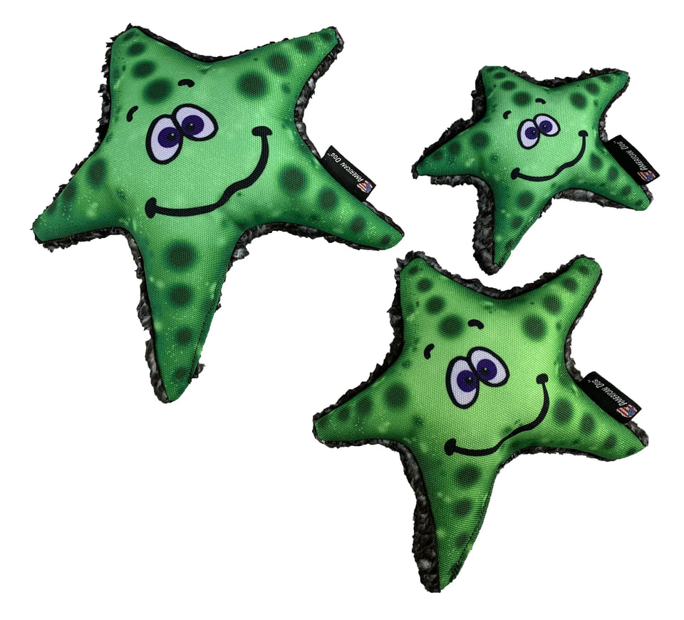 Stanley Starfish Dog Toy - Floating Nylon Flyer for Fetch & Water Play, view 4