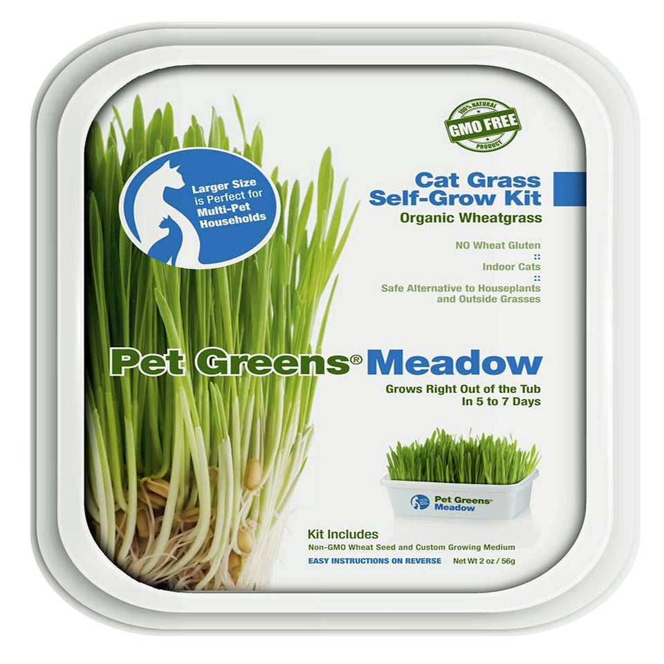 Pet Greens Meadow Pet Grass Self-Grow Kit Organic Wheatgrass 2 oz