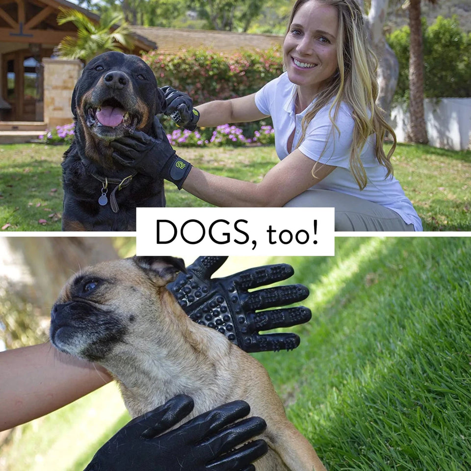 HandsOn Gloves - Pets Perfect