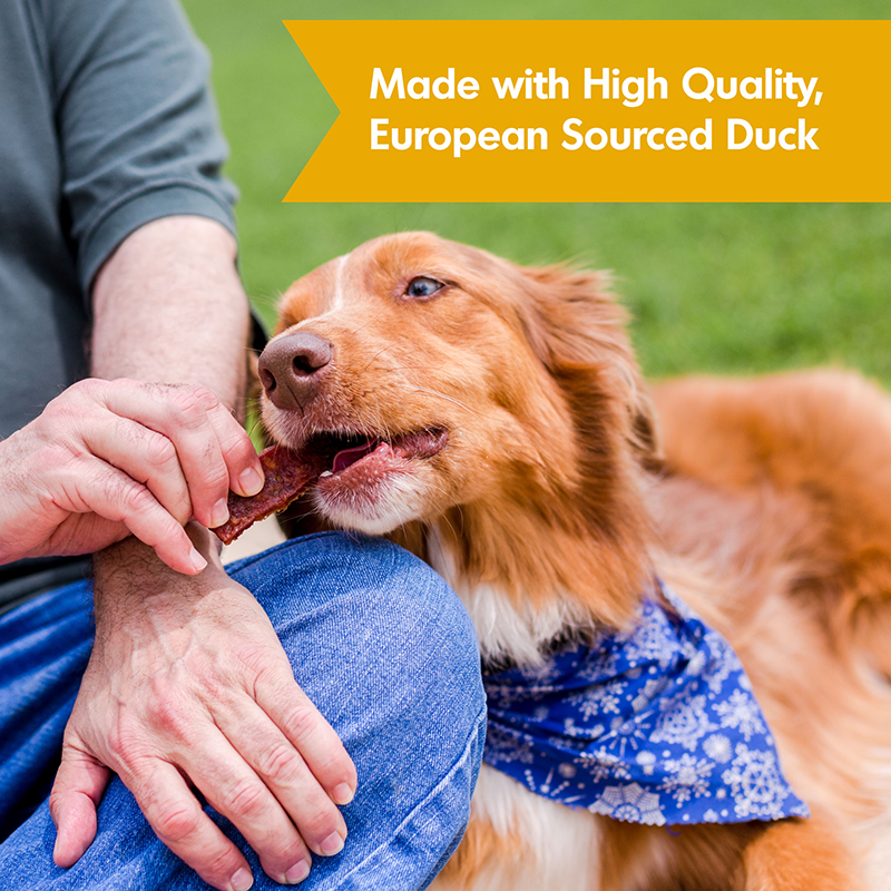 Dogswell Hip & Joint Grain-Free Jerky Dog Treat Regular Duck, 10 oz