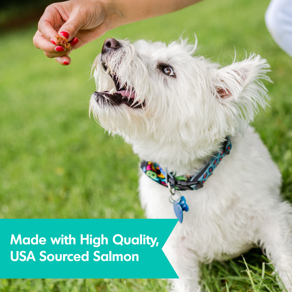 Dogswell Jerky Skin and Coat Mini Grain-Free Salmon, 4 oz