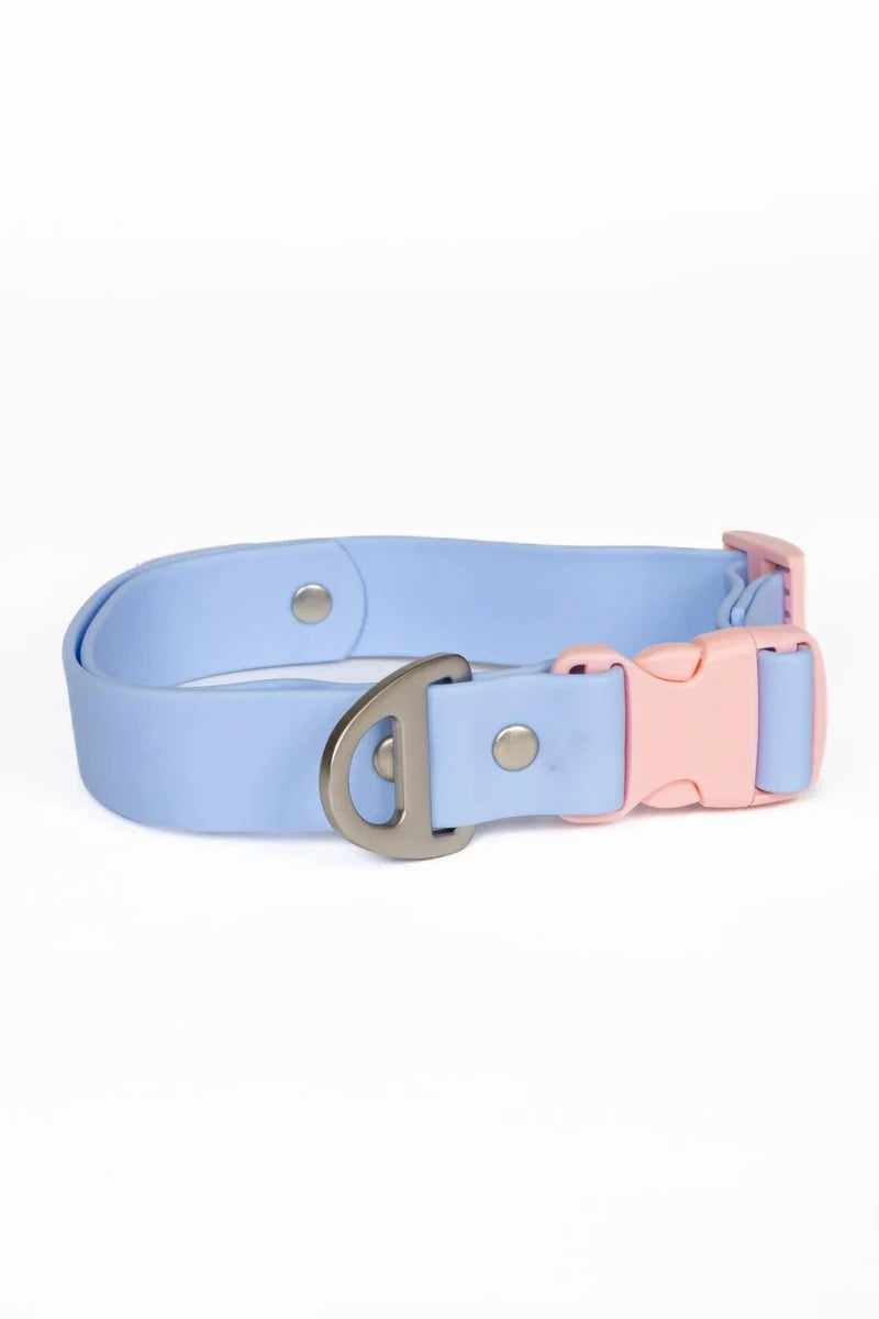 Blue Sky Orchid Waterproof Dog Collar, Periwinkle / Light Pink/15 - 17, view 3
