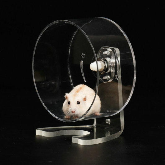 Transparent Acrylic Pet Exercise Wheel - The Ultimate Hamster Fitness Experience.