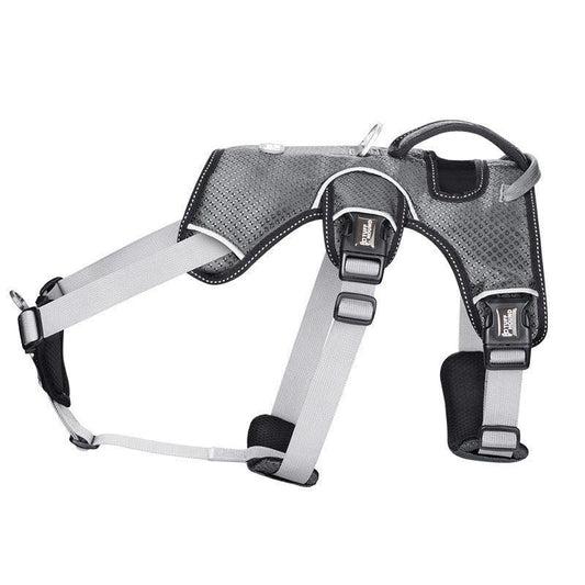 Stylish Polyester No-Pull Dog Harness - Perfect for Small Dogs