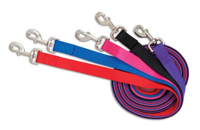 Aspen Core Nylon Dog Leash Red 5/8 in x 5 ft, Medium
