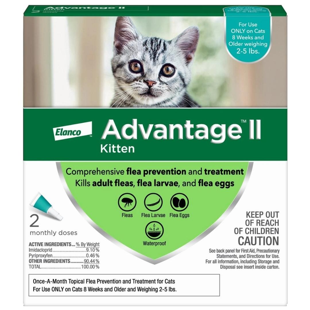 Advantage II Kitten Turquoise 2 - Pack - Pets Perfect