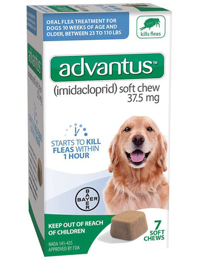 Advantus Dog Large 37.5Mg Soft Dog Chew 7 ct