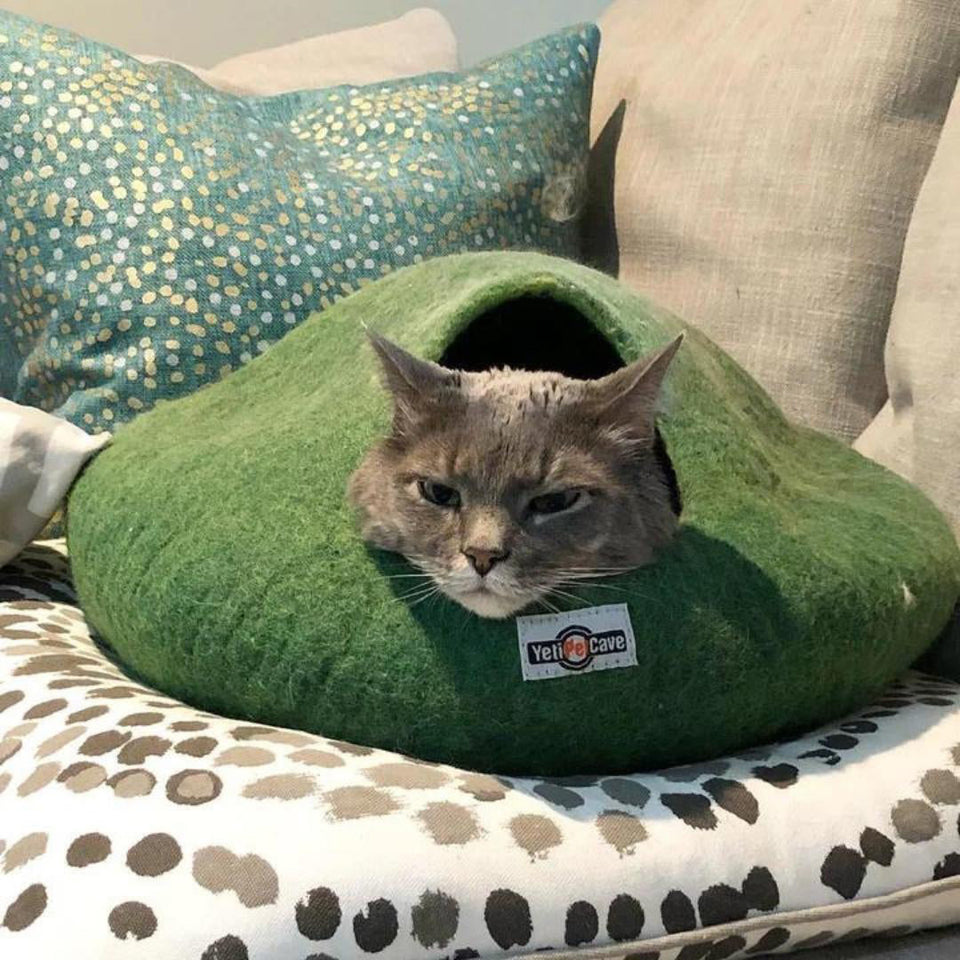 Yeti Green Wool Cat Cave & Convertible Bed