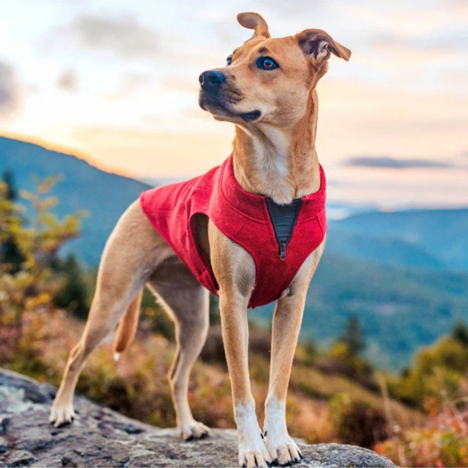 Kurgo Core Dog Sweater - Fleece Knit Dog Pullover, Heather Red, Large, view 3