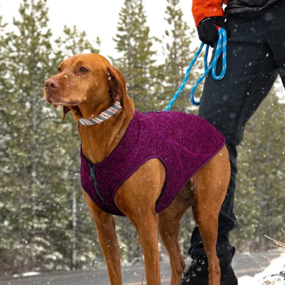 Kurgo Core Dog Sweater, Fleece Knit Dog Pullover, Heather Violet, view 3