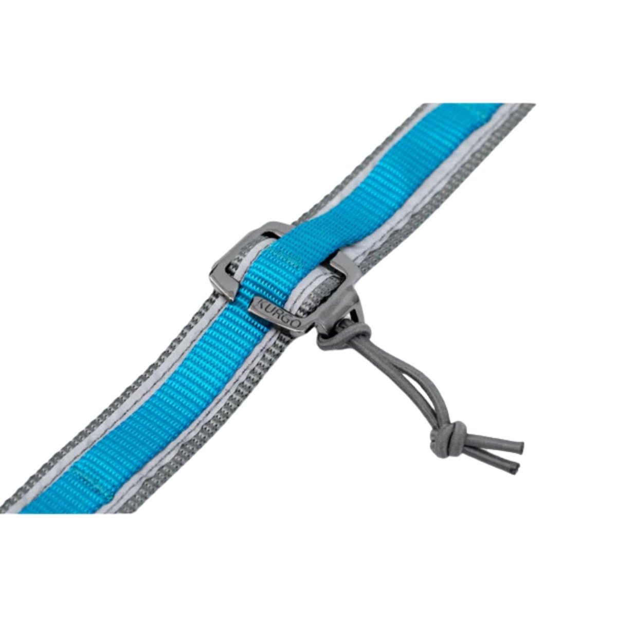 Kurgo Dog Quantum Leash Violet - Pets Perfect