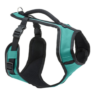 PetSafe Dog Easy Sport Dog Harness Teal Large