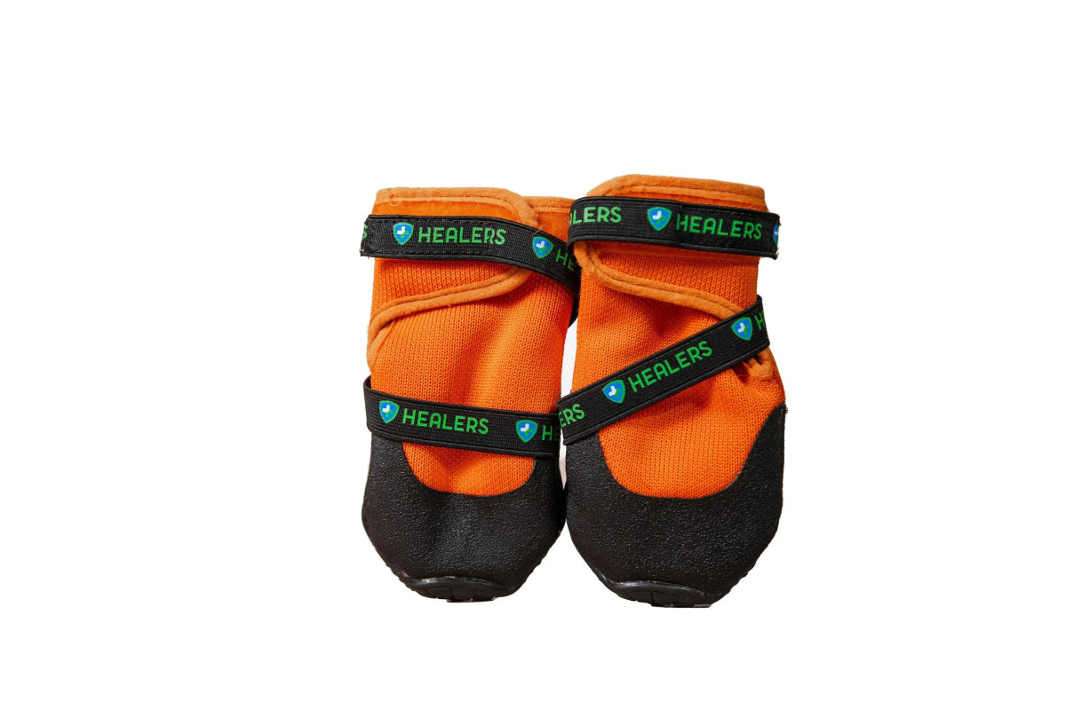 URBAN WALKERS III - Pets Perfect