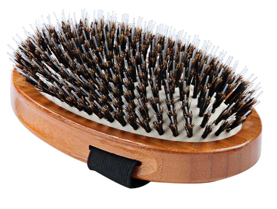 Bass Brushes- Shine & Condition Pet Brush - Pets Perfect