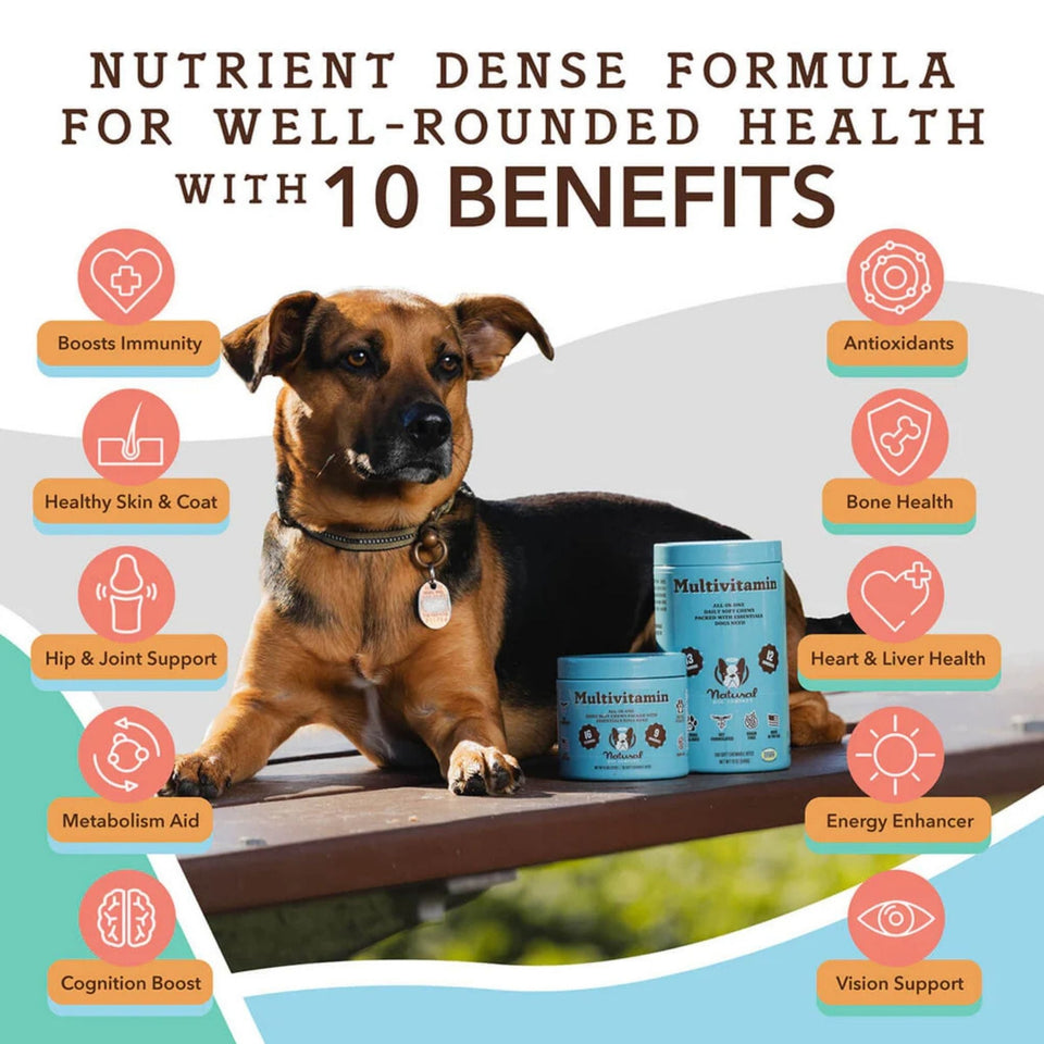 Natural Dog Company Dog Multivitamin Supplement Chews - 90 Count