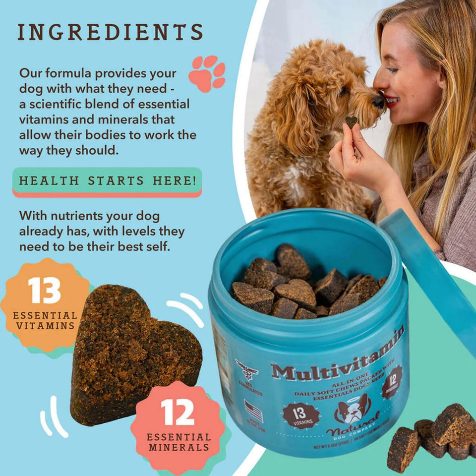 Natural Dog Company Dog Multivitamin Supplement Chews - 90 Count