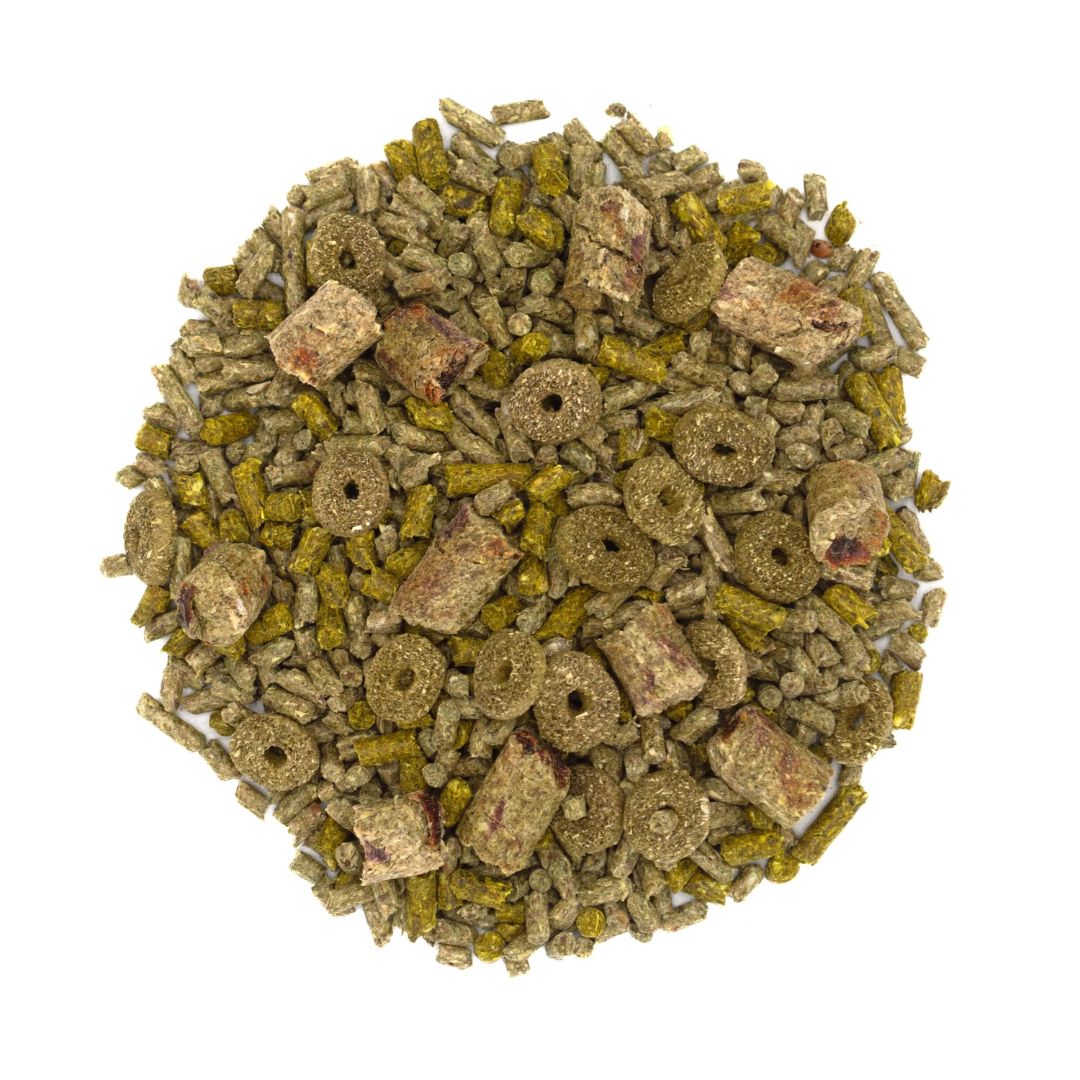 Oxbow Small Forage Wise Hamster & Gerbil 2 lb