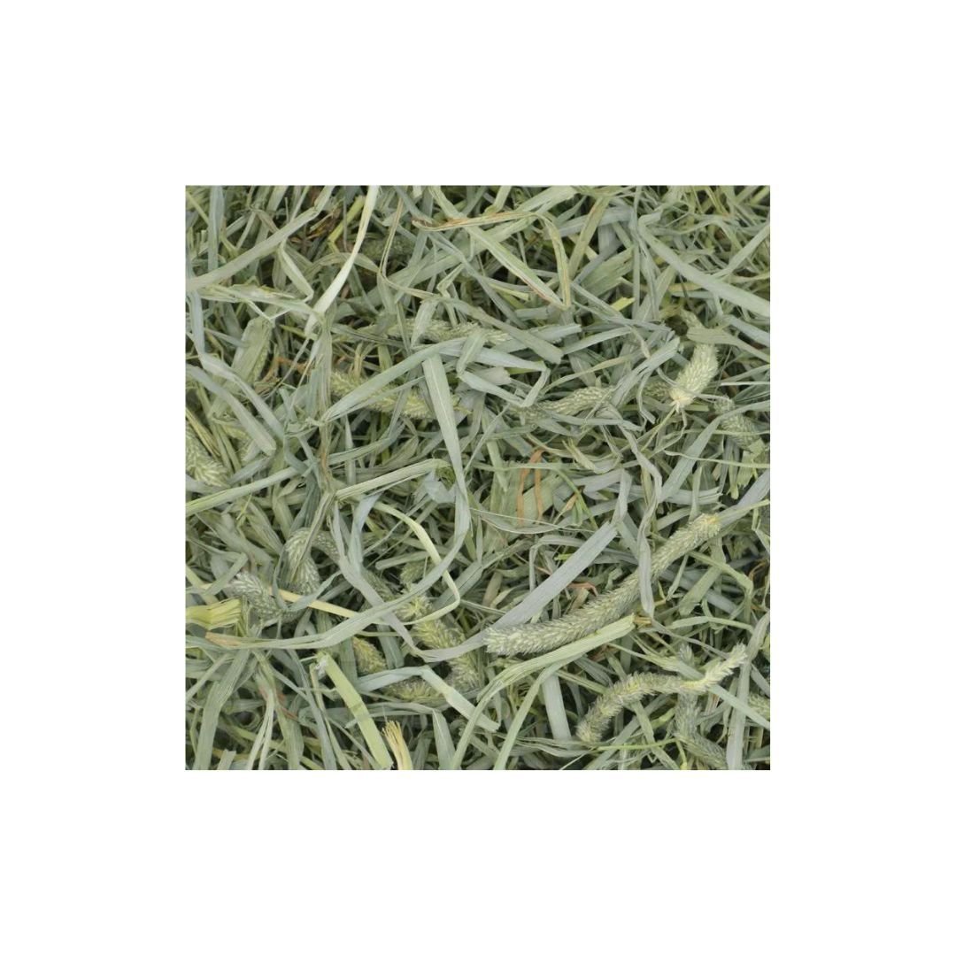 Oxbow Small Animal Prime Crunchy Timothy Hay, 40 oz - Pets Perfect