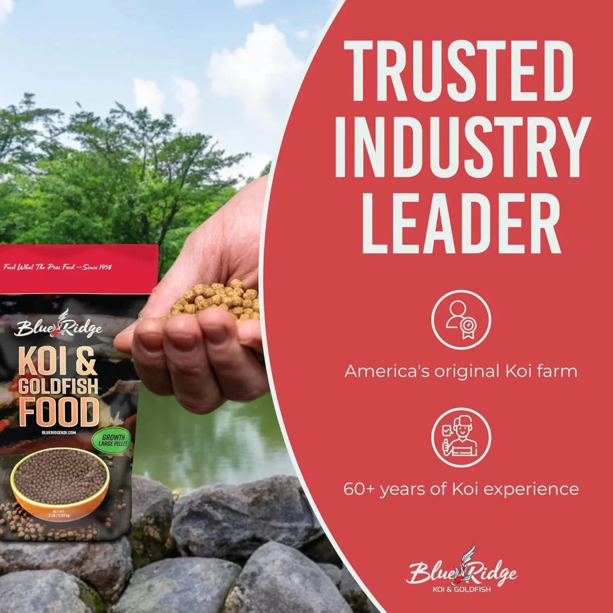Blue Ridge Fish Hatchery Growth Formula Pellet Fish Food for Koi and Goldfish 1ea/2 lb, LG - Pets Perfect