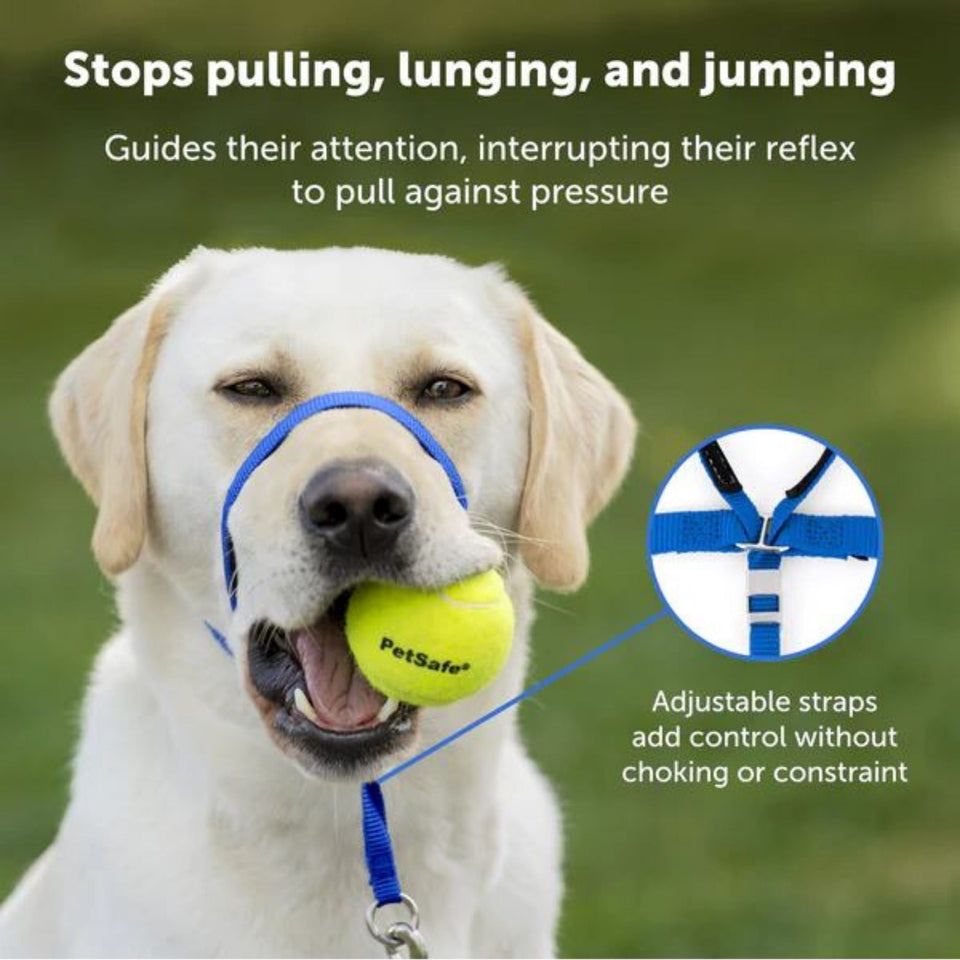 Petsafe Dog Gentle Leader Head Collar Royal Blue Large