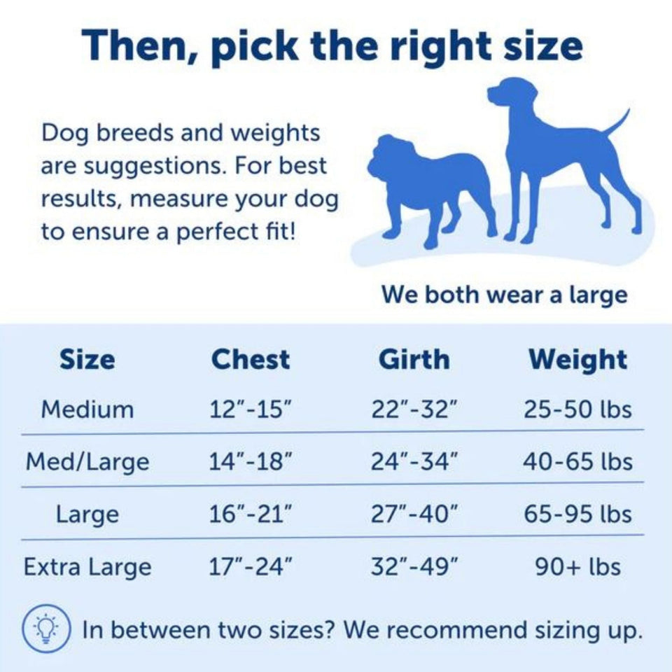 Petsafe Dog Easy Walk Harness Red Medium / Large