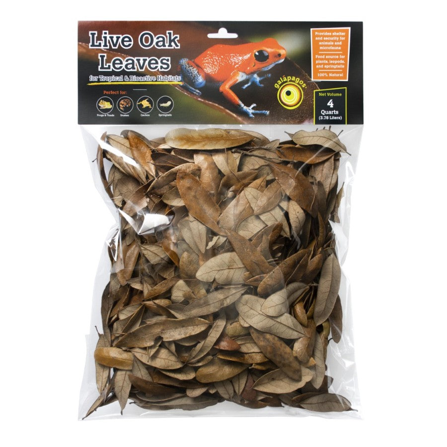 Galapagos Natural Live Oak Leaf Litter for Bioactive Vivariums, 4 qt
