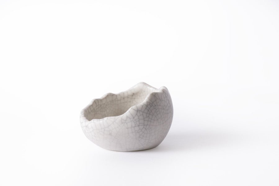 Galapagos Ceramic Egg Dish for Reptile Terrariums