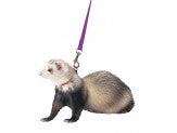 Marshall Pet Products Ferret Harness and Lead Set Purple