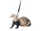 Marshall Pet Products Ferret Harness and Lead Set Blue