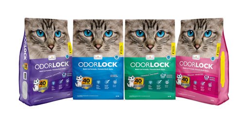 Intersand Odorlock Baby Powder Cat Litter 1ea/13.2 lb - Pets Perfect