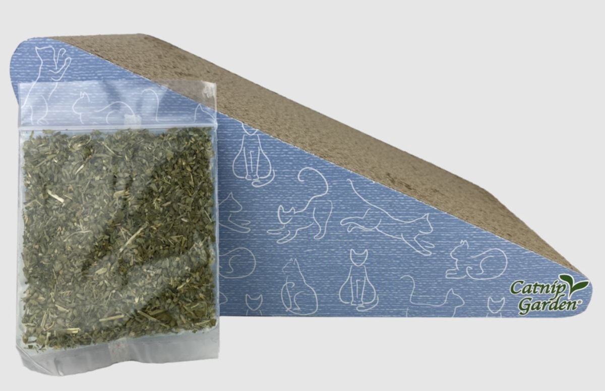 Multipet Catnip Garden Scratcher w - Catnip - Pets Perfect
