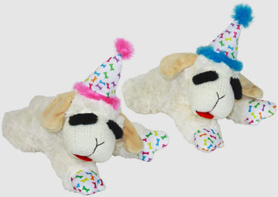 Multipet Lamb Chop with Birthday Hat Dog Toy, 10.5 in
