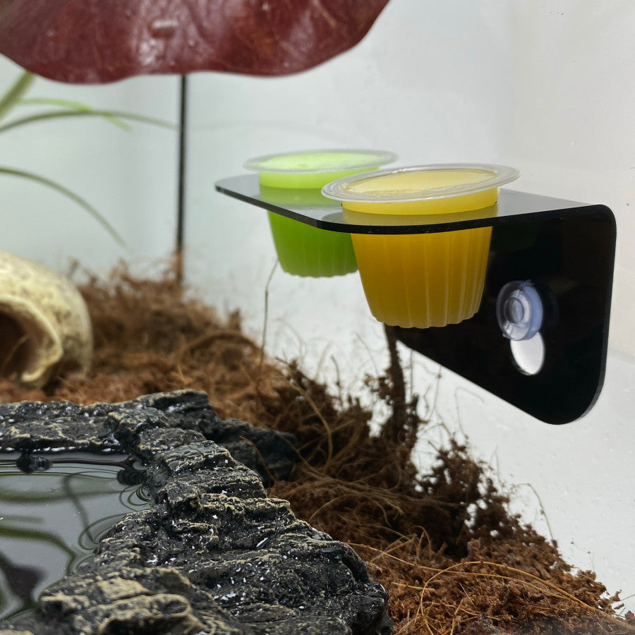 Holder mounted inside a terrarium holding green and yellow jelly pots