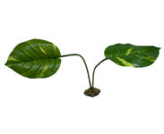 Komodo Jumbo Guiana Plant for Reptile Terrariums, 27 in