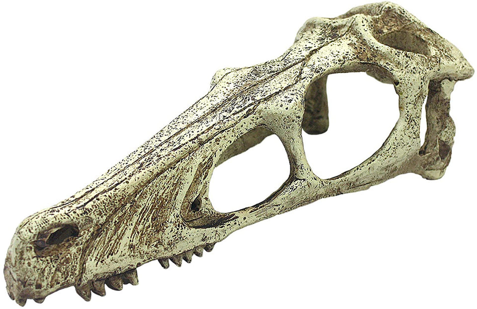 Komodo Raptor Skull Reptile Hideout, Tan X-Large