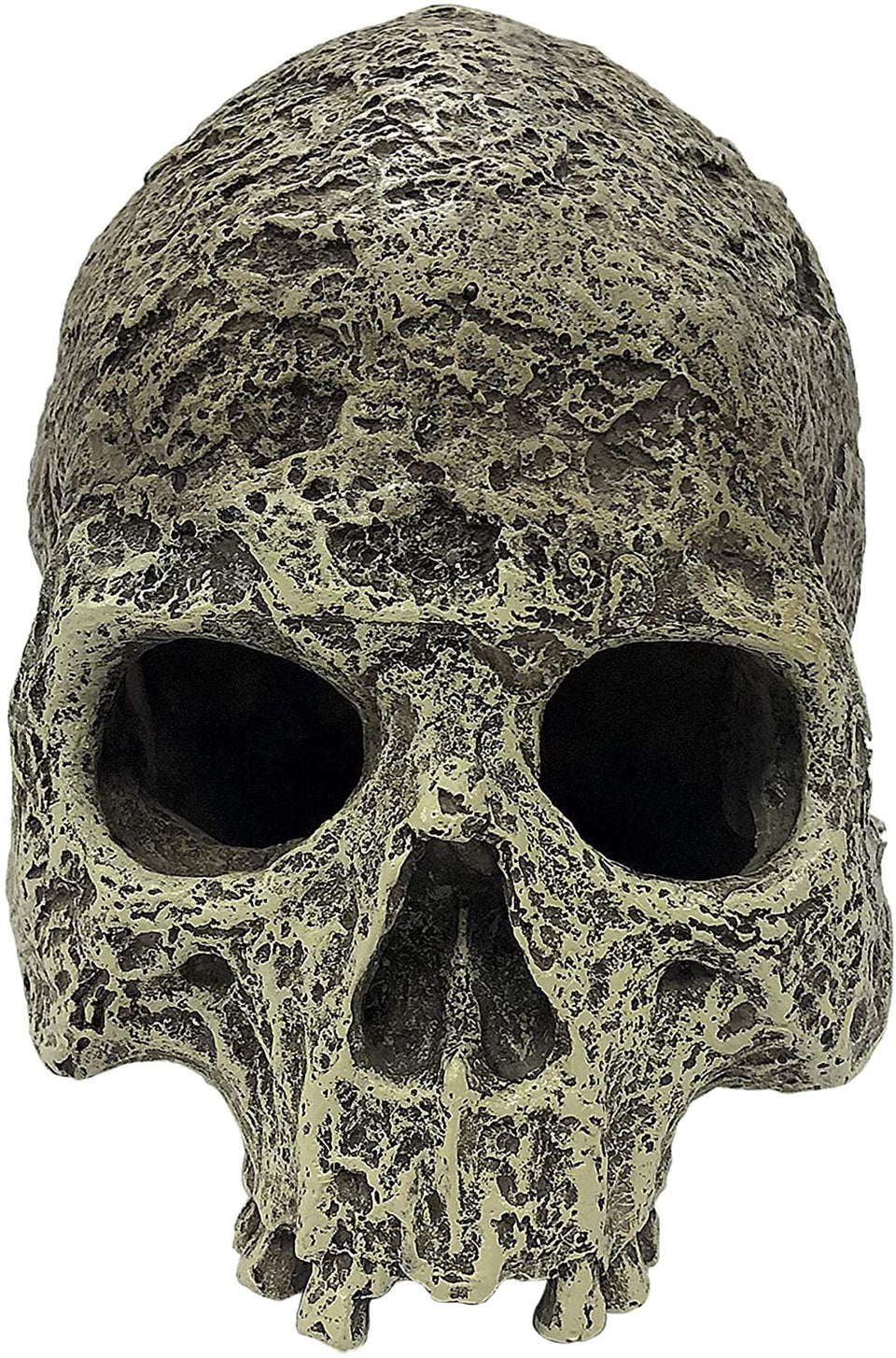 Komodo Textured Human Skull Reptile Hideout Gray