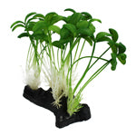 Komodo Sprout Plant - Lifelike Aquarium and Terrarium Decor
