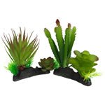 Komodo Cactus and Succulent Plant Reptile Terrarium Decor, view 2
