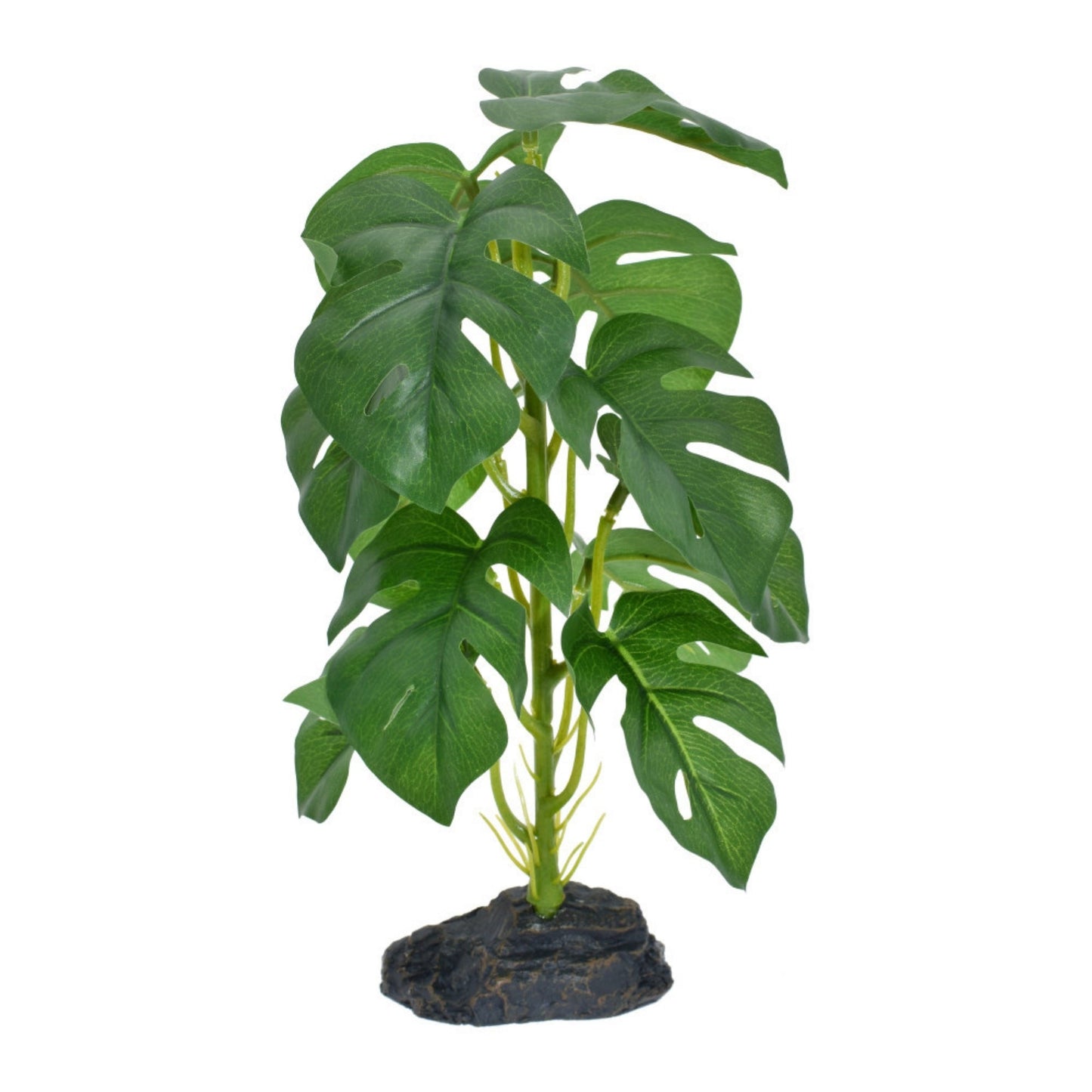 Komodo Standing Monstera Plant - Realistic Terrarium and Aquarium Decor