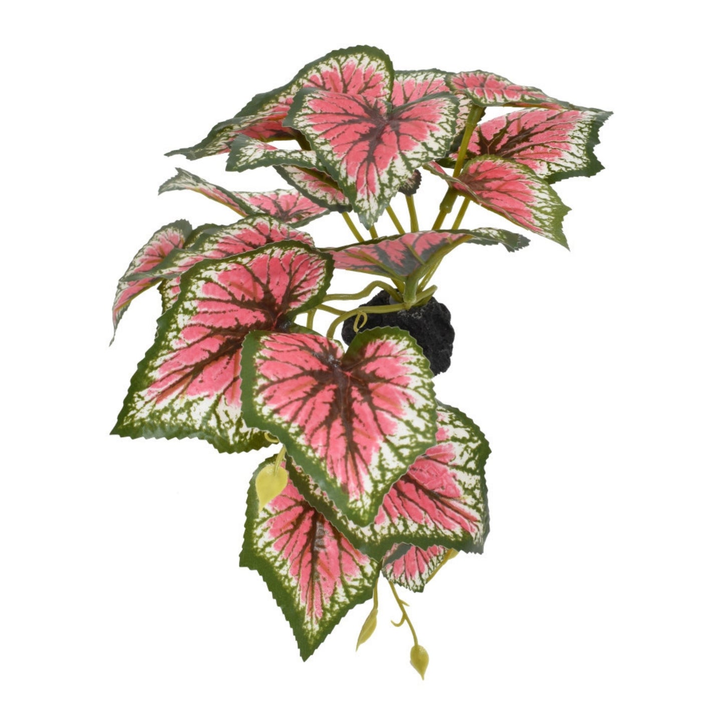 Komodo Standing Caladium Plant - Realistic Terrarium and Aquarium Decor