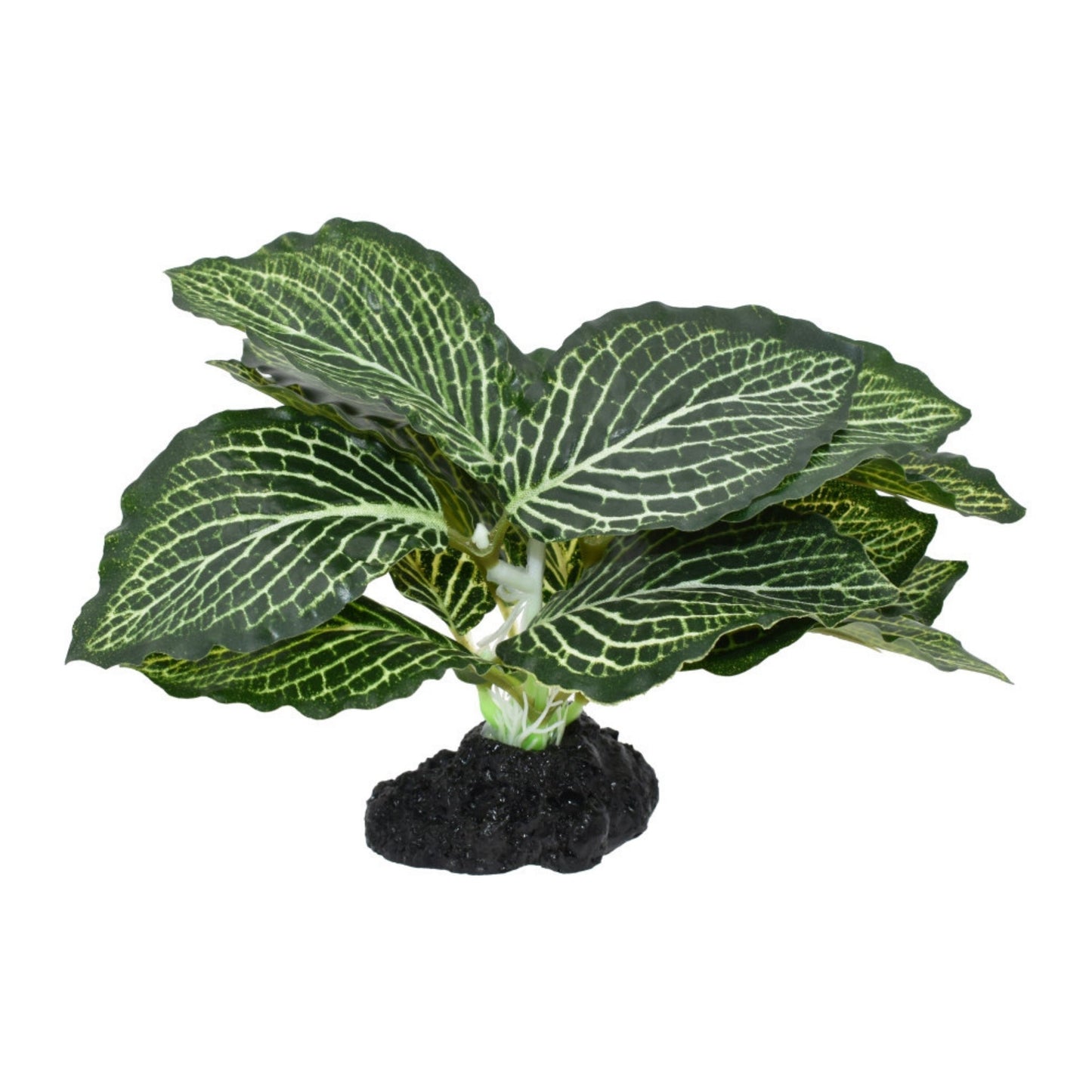 Komodo Standing Vein Plant 4 in - Terrarium Decor