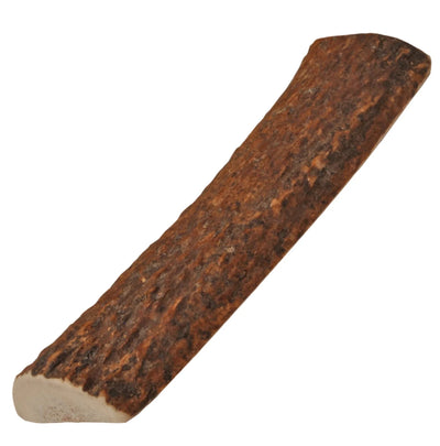 Natural Elk Antlers - Pets Perfect
